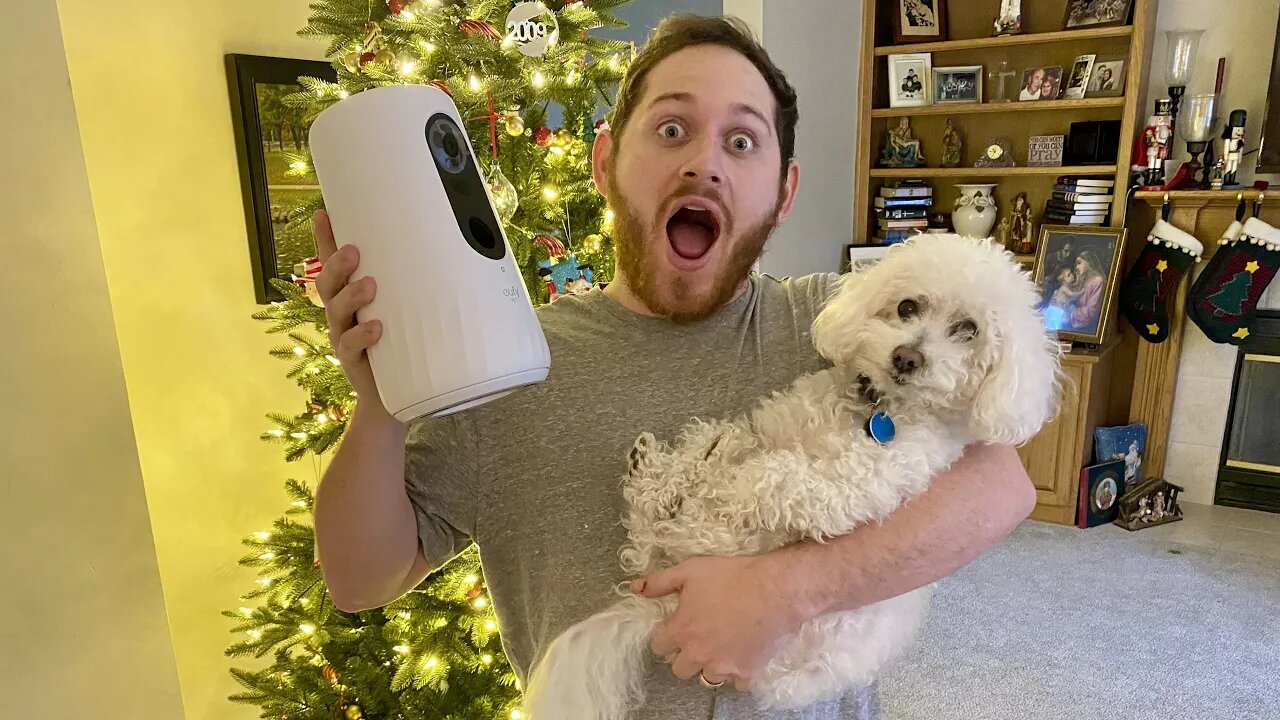 Every Dog Owner Needs This!