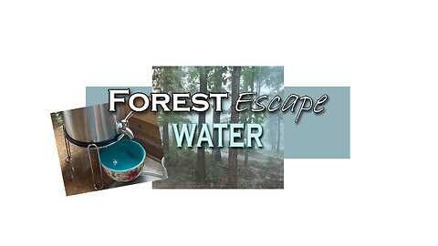 Forest Escape Water Sources, Treatment, Storage and Filtration