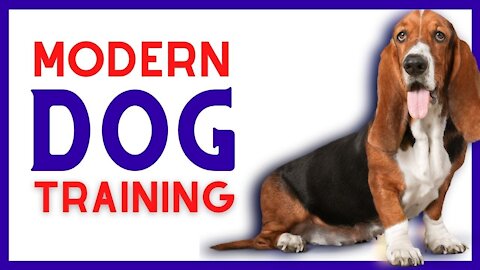 Advanced Leadership System for Dogs: Modern Dog Training