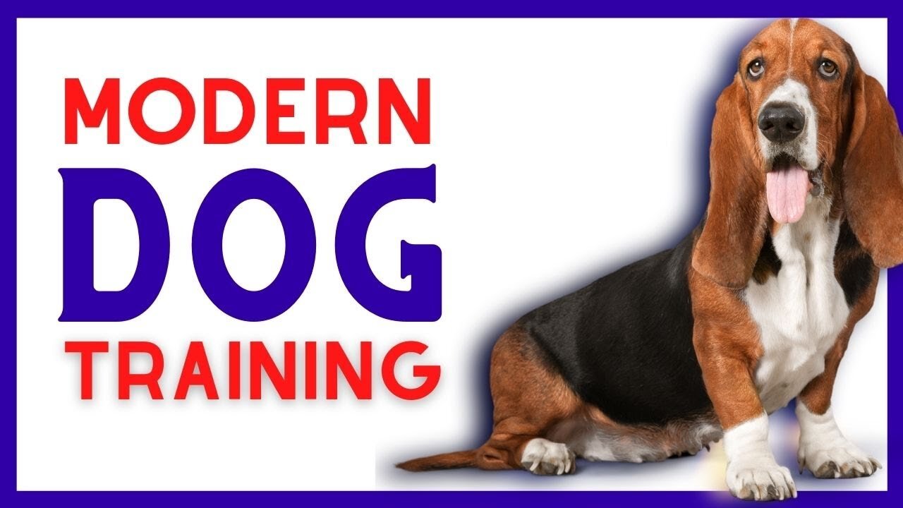 Advanced Leadership System for Dogs: Modern Dog Training