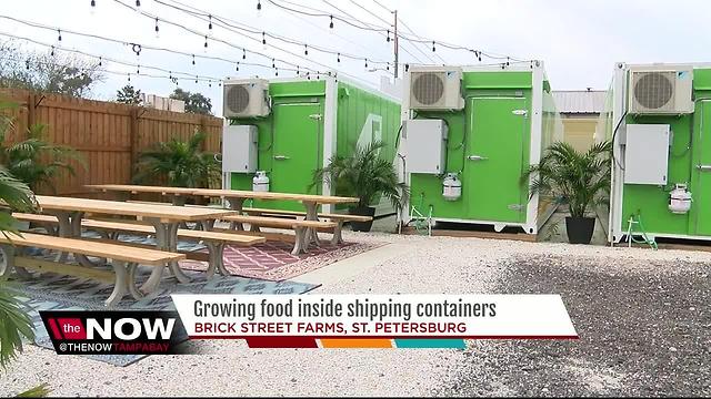 Growing food inside shipping containers