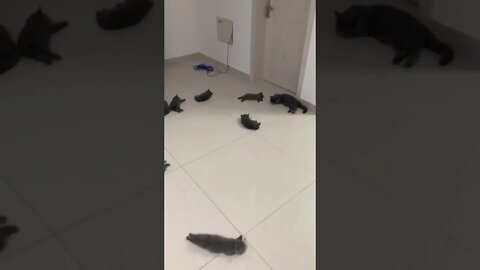 Heated Tile Flooring