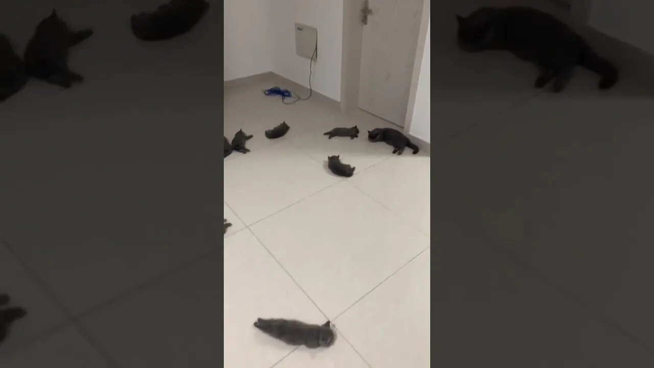Heated Tile Flooring