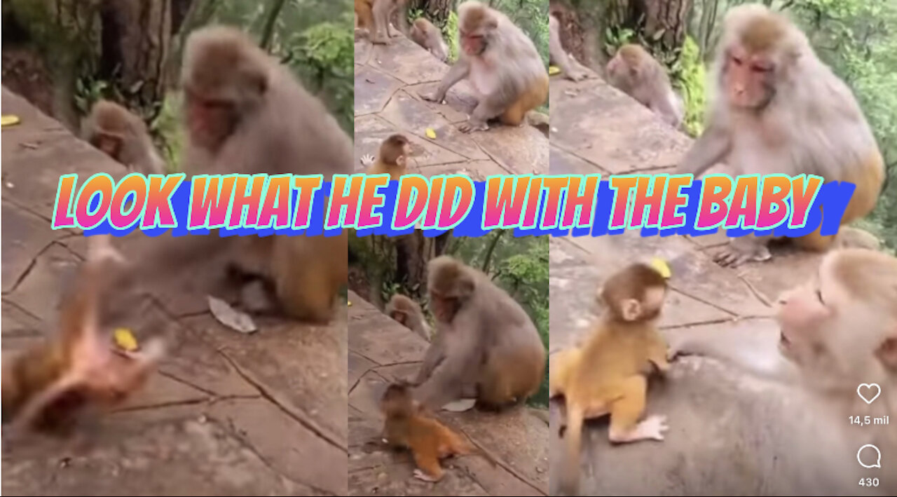 look what he did with the baby