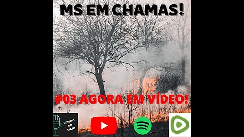 #03 REPRISE - MS EM CHAMAS