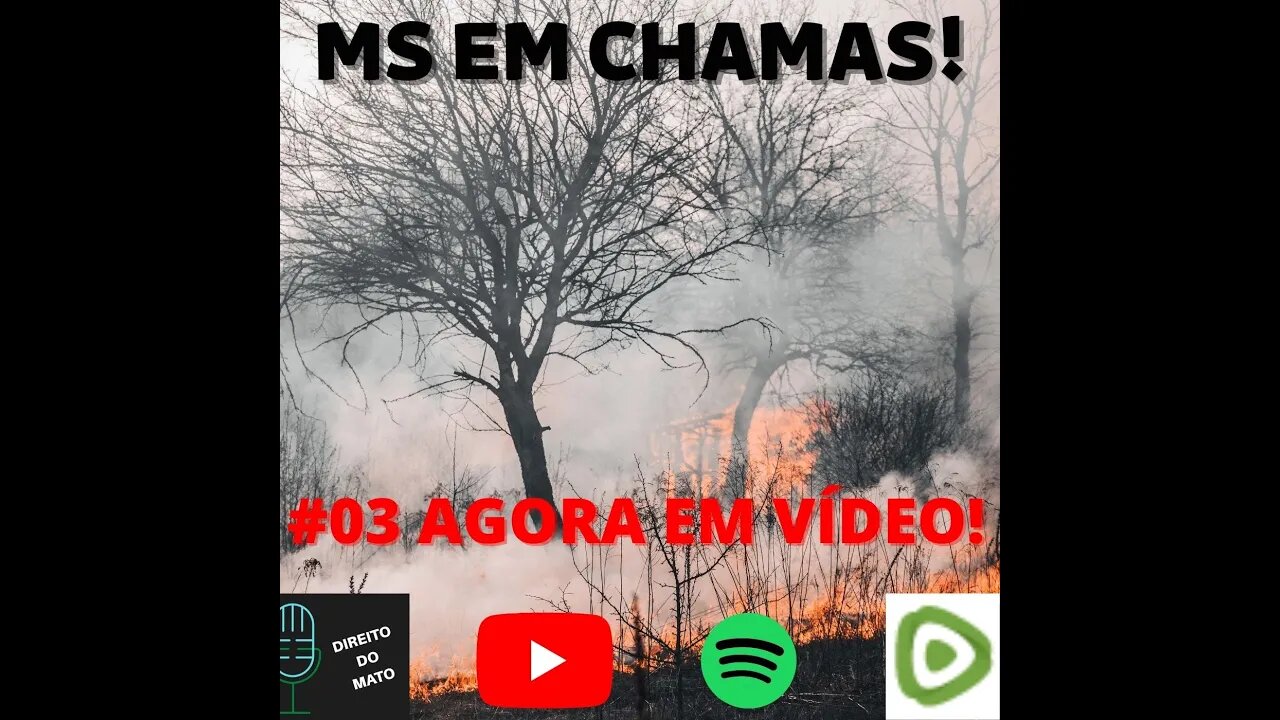 #03 REPRISE - MS EM CHAMAS