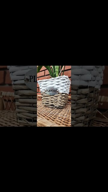 PLANET PLANTS OF E.T.