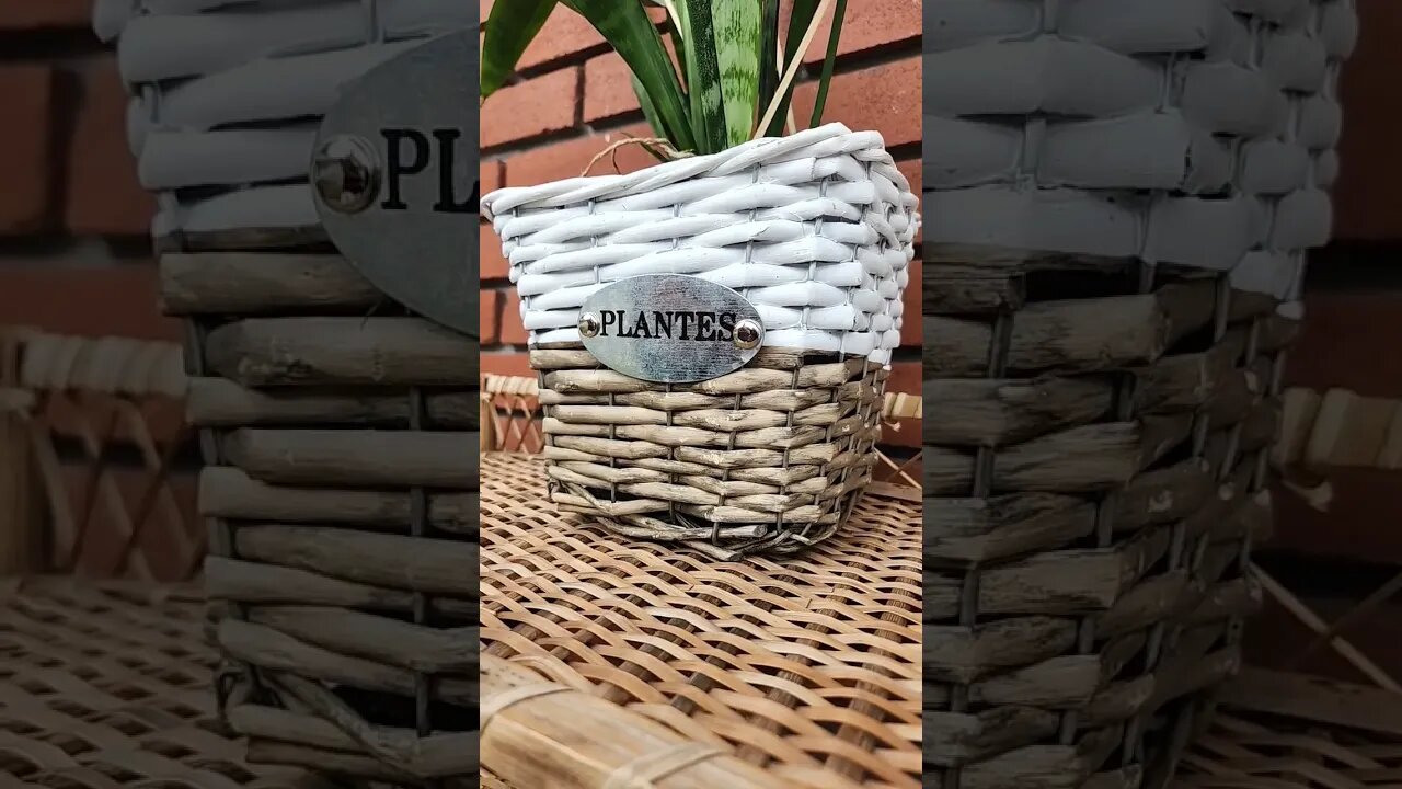 PLANET PLANTS OF E.T.