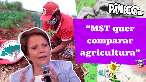 TEREZA CRISTINA MANDA REAL SOBRE OS ‘HATERS’ DO AGRO