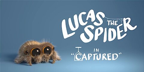 lucas the spider