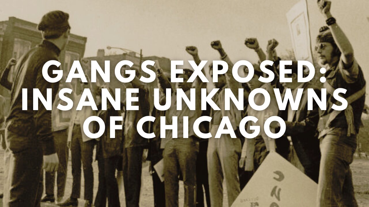 GANGS EXPOSED: Insane Unknowns of Chicago