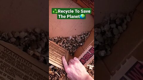 ♻️Help Recycle To Save The Planet *Insert PROP 65 Warning* (LOL)🌍