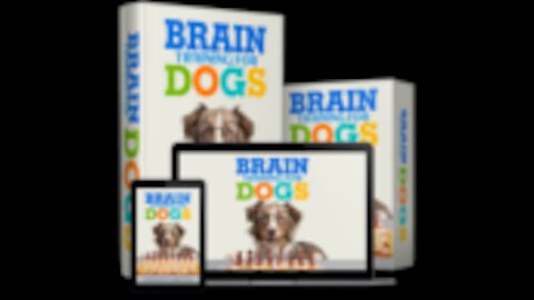 German Shepherd Attacks Pitbull. Find your dogs intelligence. Link in Description