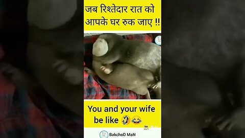 new funny video 🔥🔥 #shortsfeed #youtubeshortsfeed