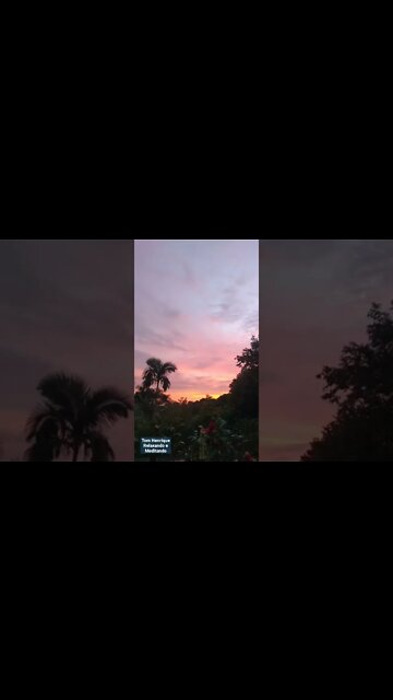 🌄 Pôr do sol Maravilhoso, amo contemplar a natureza, obra linda do Criador, 🦜 🐦♥️🍄 #shorts