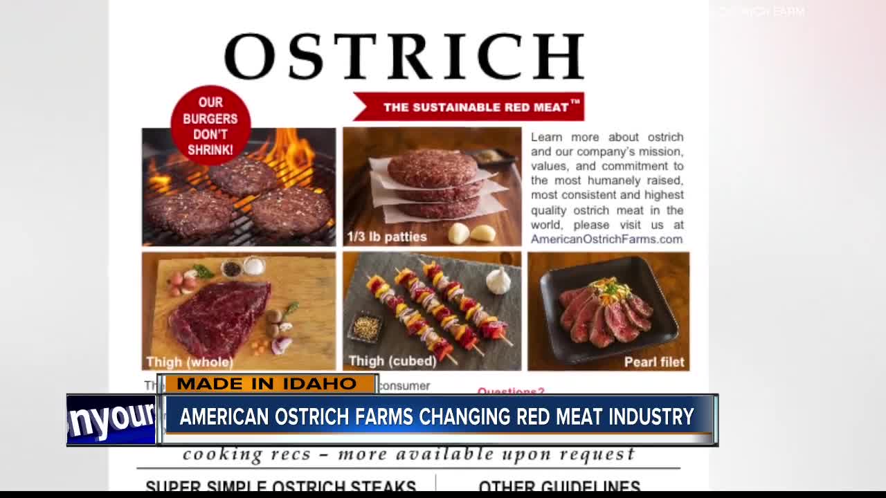 Made In Idaho: American Ostrich Farms