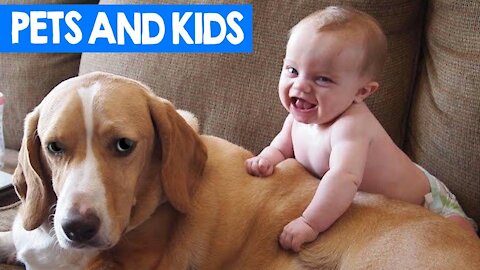 Watch the funniest kid + cat + dog videos