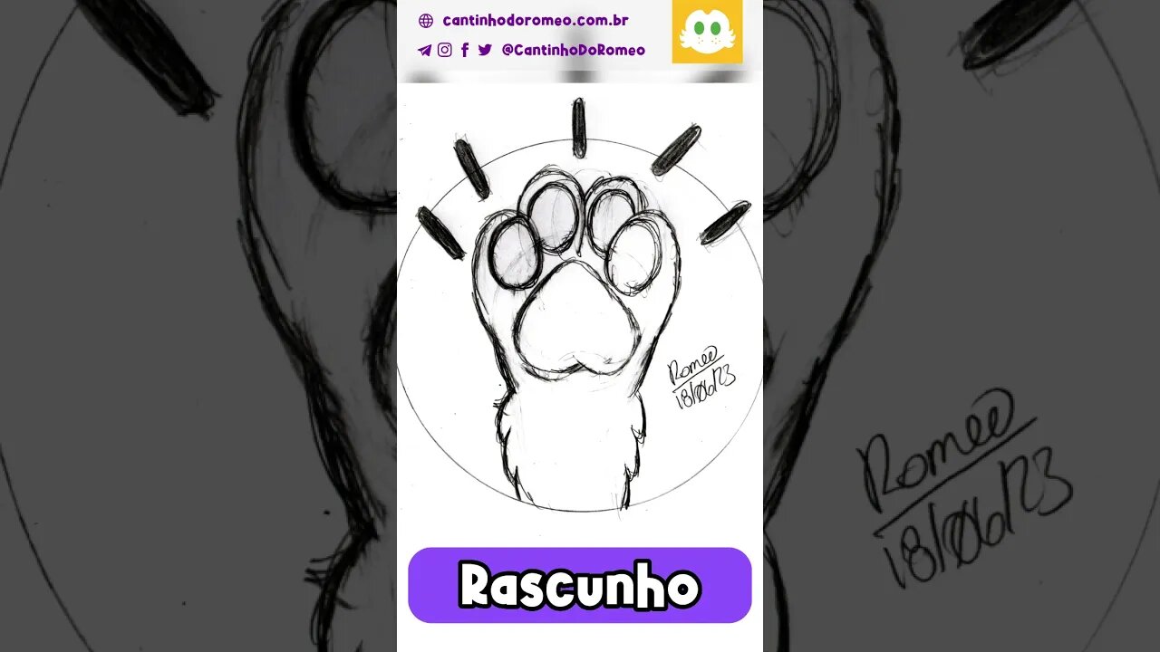 Rascunho vs Digital: Stay Pawsitive