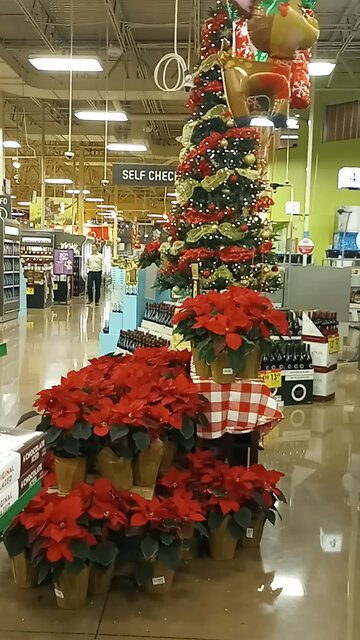 Christmas decorations at shopping mall USA