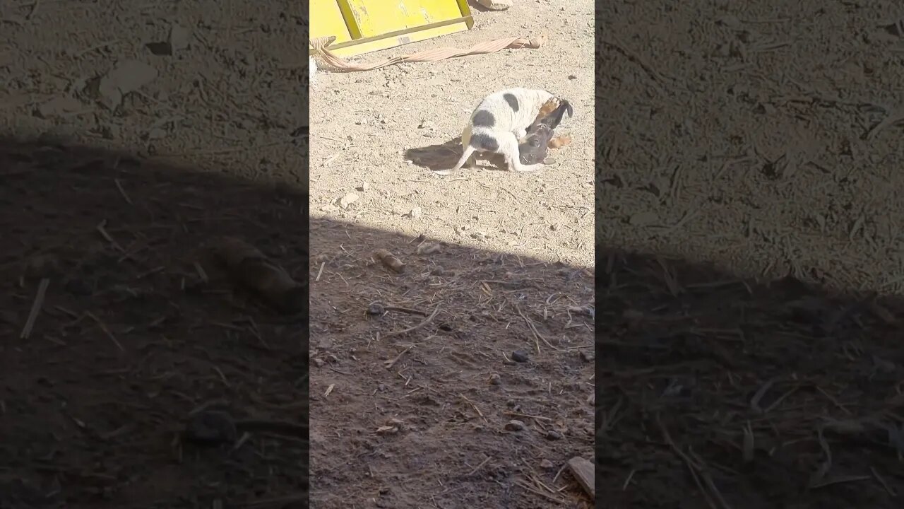 😄😅😅
