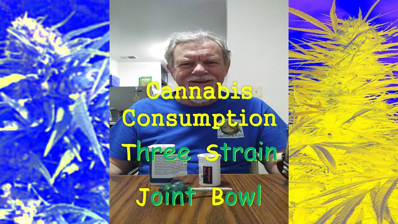 Three Strain Joint Bowl