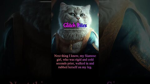 My Immortal Cat / Glitch Stories