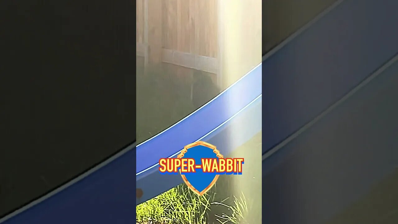 Super-Rabbit