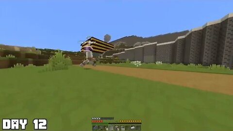 I Survived 100 Days as a BEE in Minecraft ~~ 12