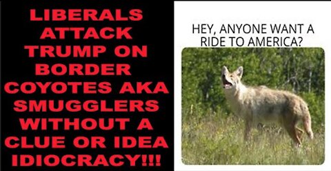 Ep.191 | LIBERALS ATTACK TRUMP ASSUMING COYOTES ARE ANIMALS THAT SMUGGLE HUMANS FROM MEXICO TO U.S.