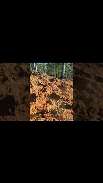 Check Out My Office! #shorts