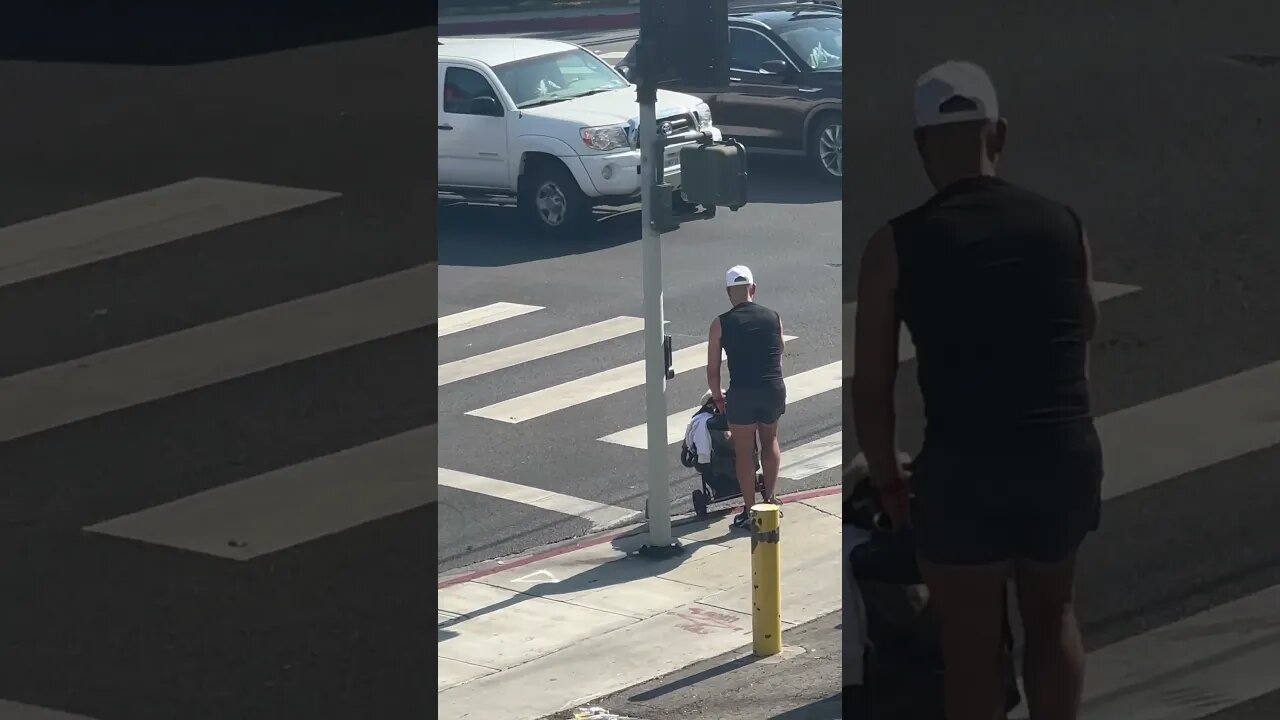 Delusional man pushes dog in Stroller