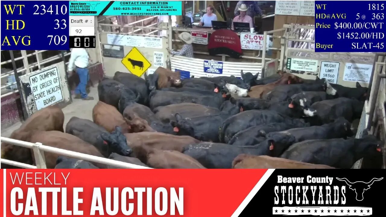 9/5/2023 - Beaver County Stockyards Livestock Auction