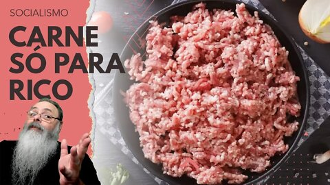 REGRA nova para CARNE MOÍDA vai retirar PRODUTOS de PIOR qualidade do MERCADO e isso É RUIM