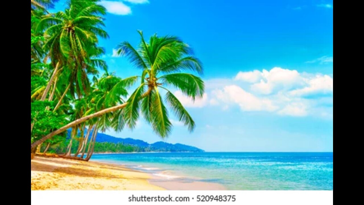wooden-pier-over-a-body-of-water