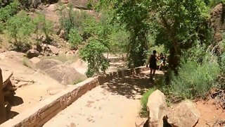 Hiking in Zion National Park | Riverside Walk