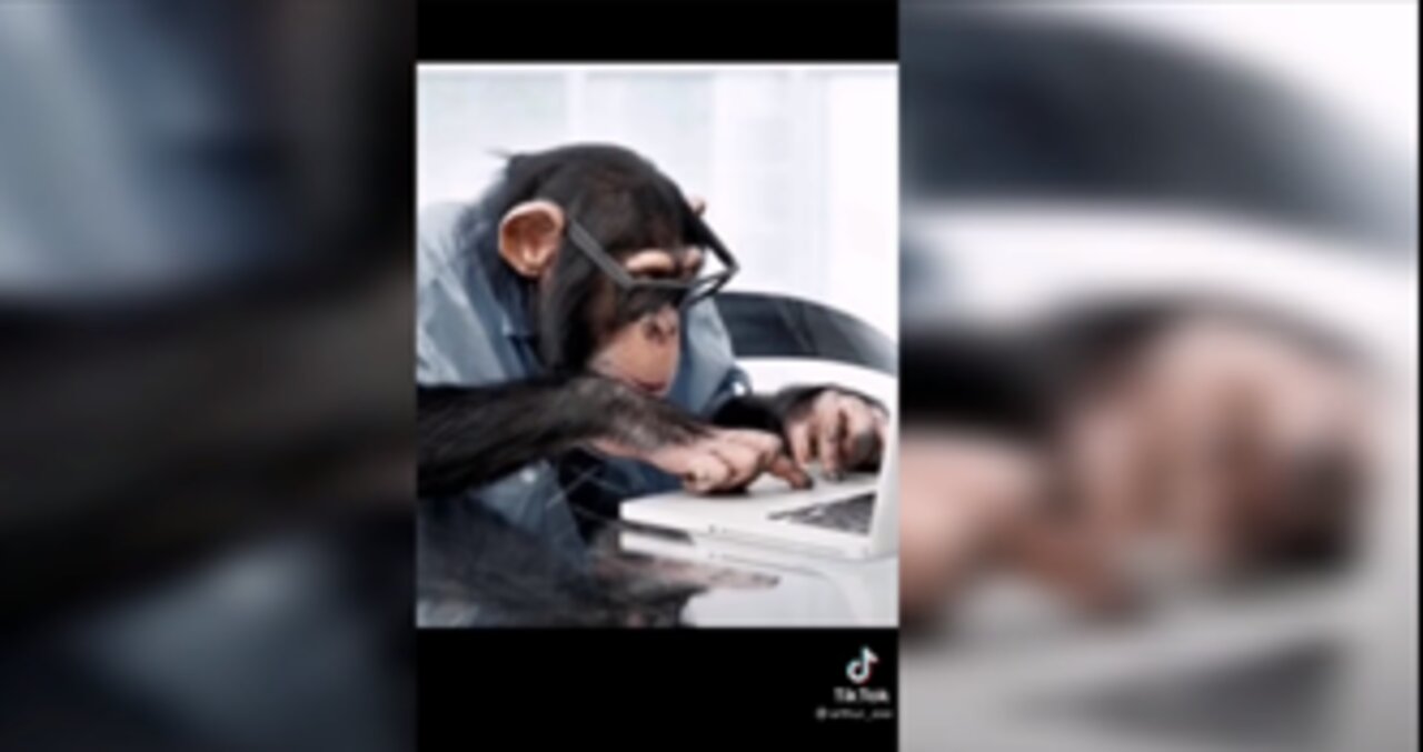 funny videos tik tok #1 😎😎