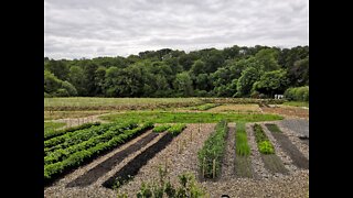 West Bovey Permaculture Project - Our First 5 Months!