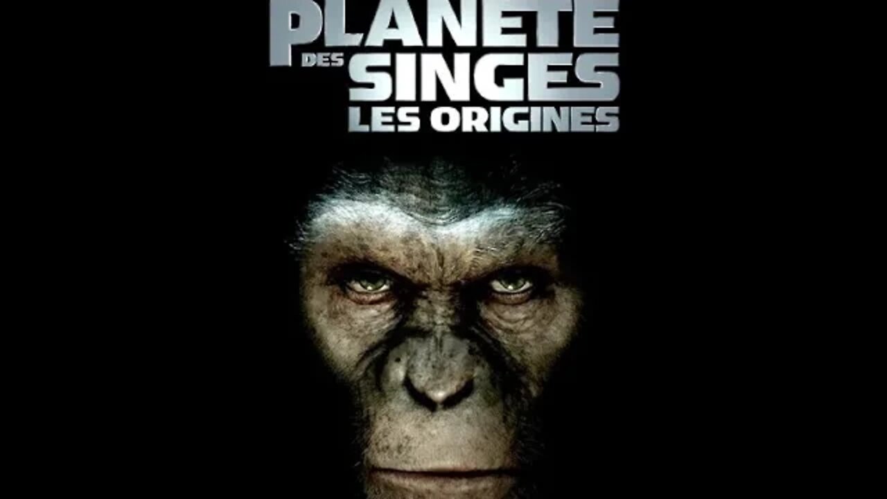 Allez Vous Faire Ankulés Toutes Les Deux Les Suceuses De Cinématographie Shoahitique