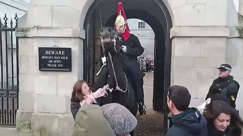 4 TIMES THE KINGS GUARDS HAD USE THEIR HORSE TO MOVE TOURISTS OVER STEPPING THE MARK #kingsguard