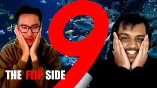 Bought A Fishtank To Increase Productivity, Success & Happiness - TFS #9