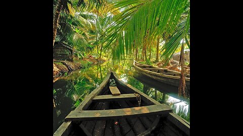 Kerala village beauty