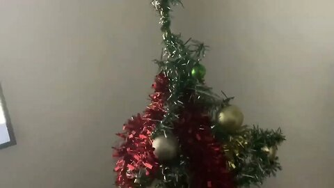 Christmas tree is up