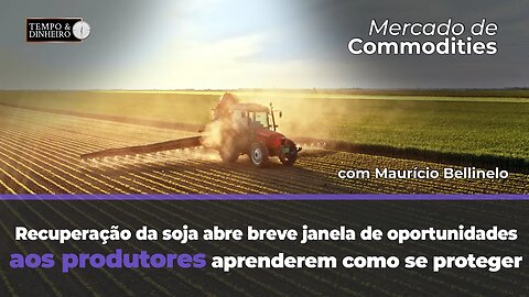 Recuperação da soja abre breve janela de oportunidades aos produtores aprenderem como se proteger