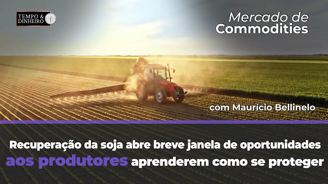 Recuperação da soja abre breve janela de oportunidades aos produtores aprenderem como se proteger