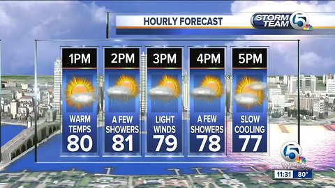 South Florida Friday afternoon forecast (3/1/19)