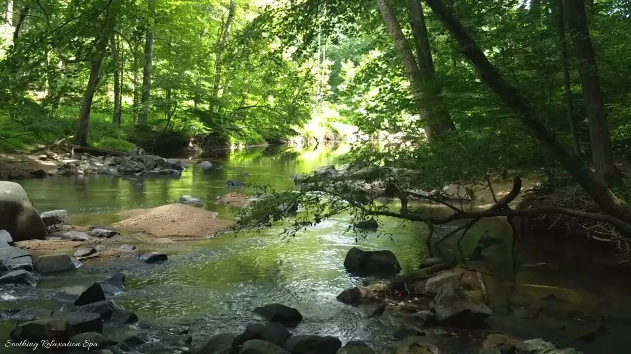 Relaxing Gentle River - Stream Sounds - Nature