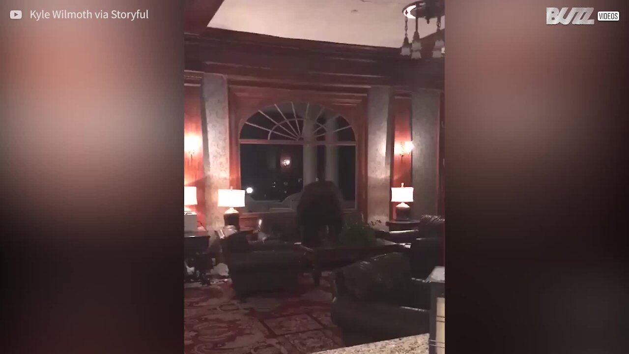 Orso invade l'hotel di 'Shining' in Colorado