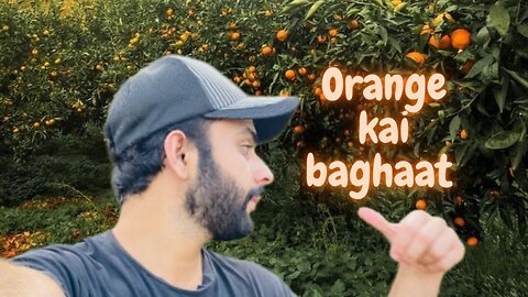 Orange ky Bhagaat Mashallah ❤️| Life With Anish