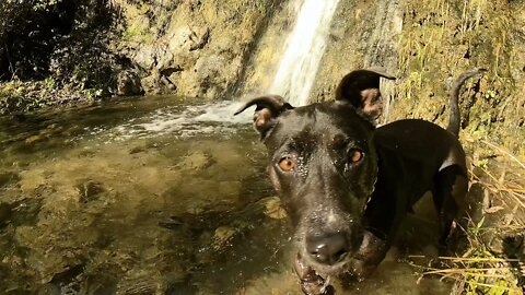 Falls Canyon Waterfall January 2022