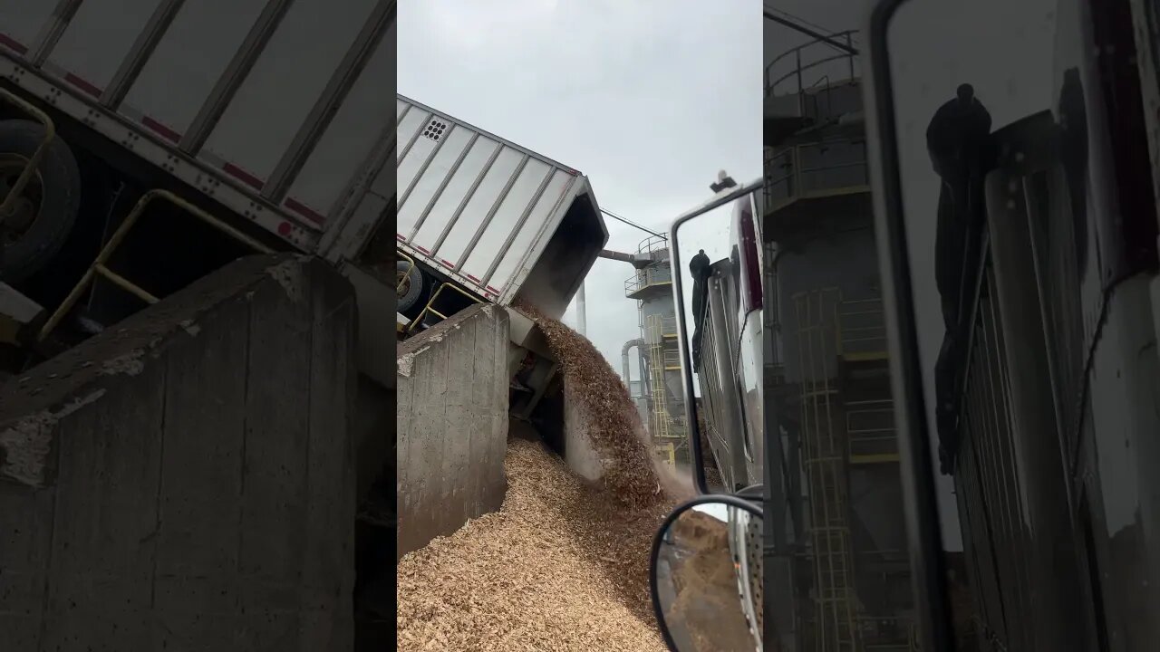 Chips Coming Off The Tipper. #sosatisfying #woodchips #landclearing